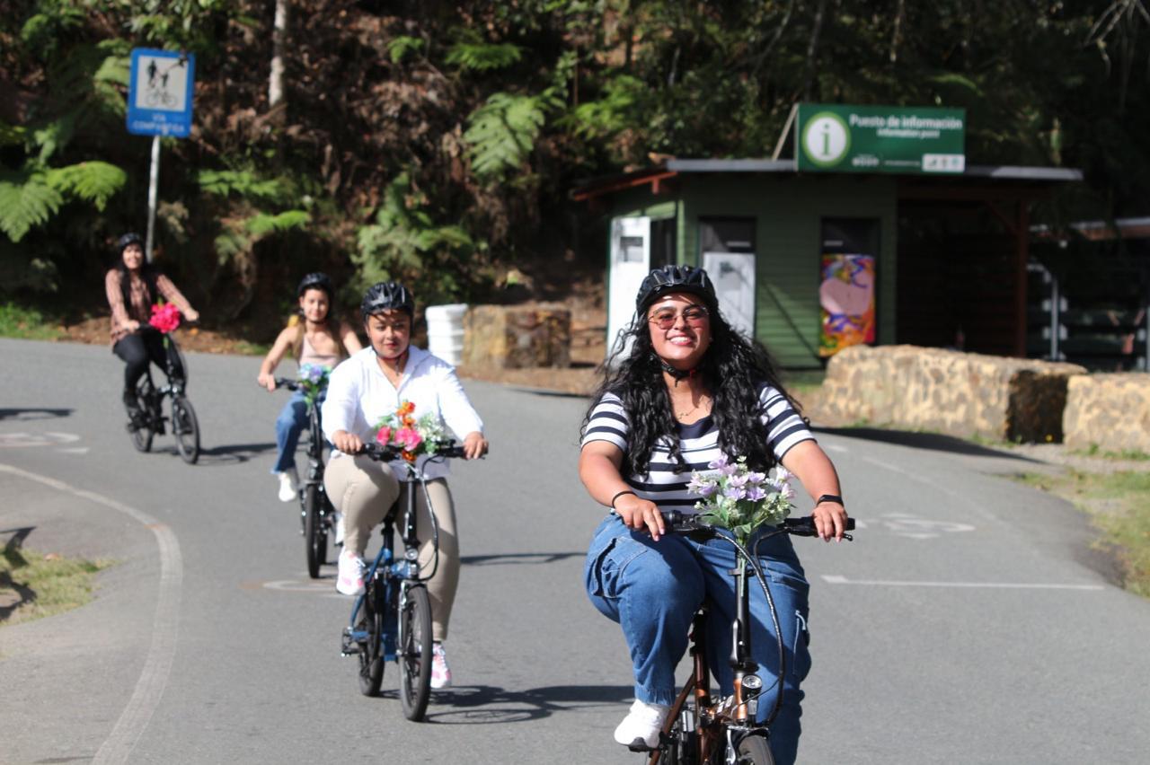 ciclada (1)