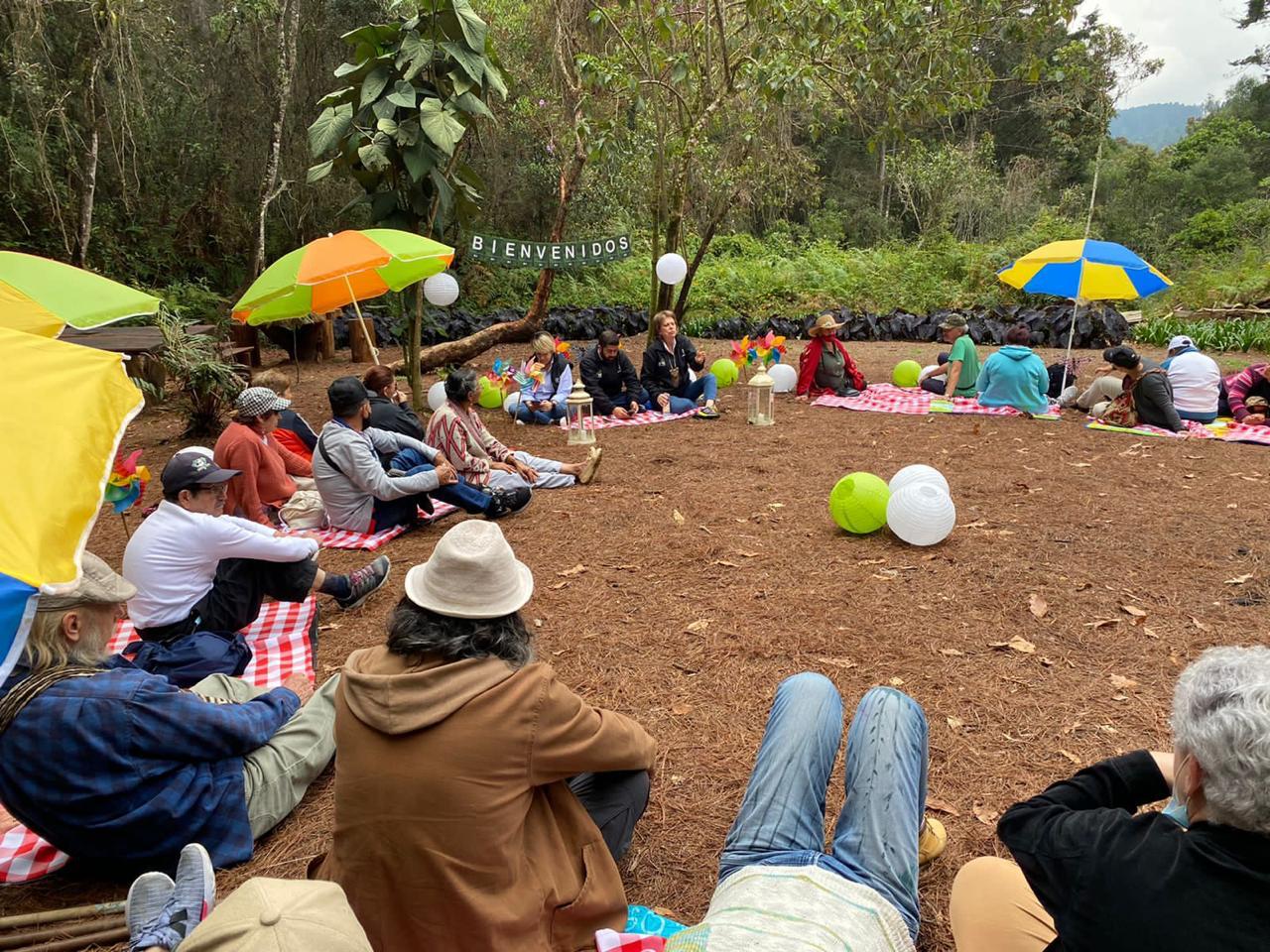 picnic