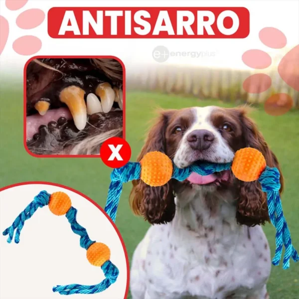Juguete Para Perro Pelotas Y Cuerda Lanza Ejercita Antisarro Naranja - Image 4
