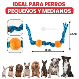 Juguete Para Perro Pelotas Y Cuerda Lanza Ejercita Antisarro Naranja