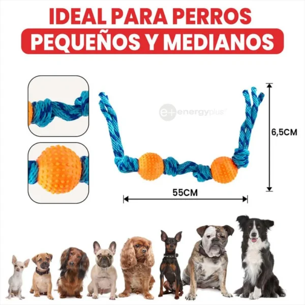 Juguete Para Perro Pelotas Y Cuerda Lanza Ejercita Antisarro Naranja